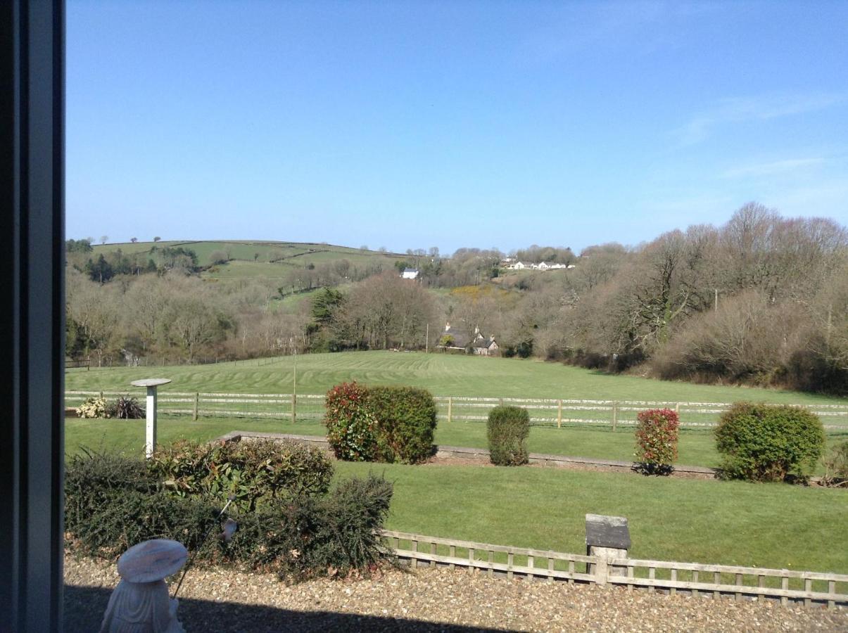 3 Bed Cottage With Hot Tub & Near New Quay Wales Llandysul Exterior foto